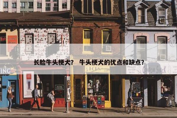 长脸牛头梗犬？ 牛头梗犬的优点和缺点？