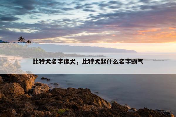 比特犬名字像犬，比特犬起什么名字霸气