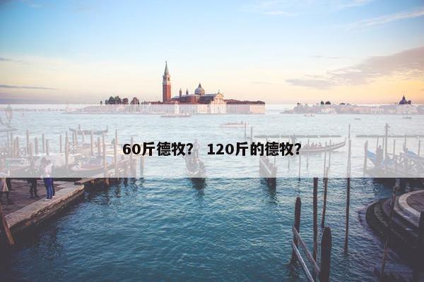 60斤德牧？ 120斤的德牧？