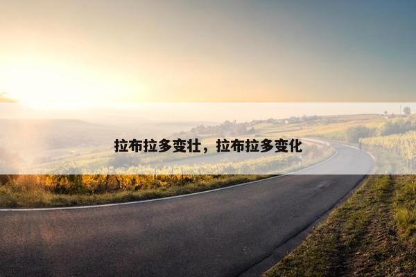 拉布拉多变壮，拉布拉多变化
