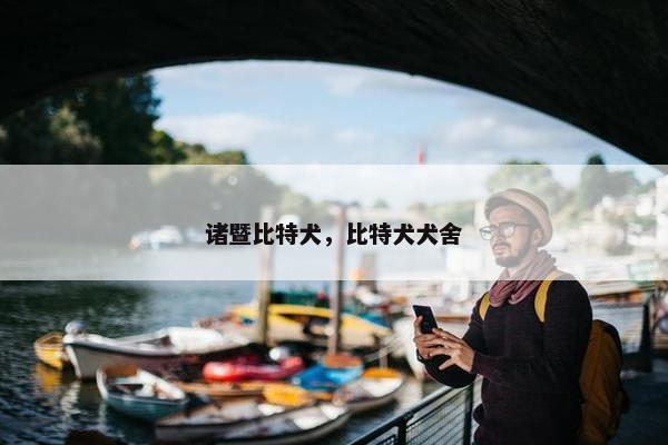 诸暨比特犬，比特犬犬舍