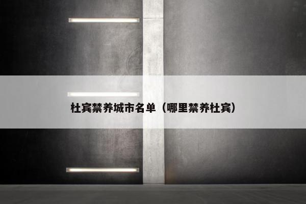 杜宾禁养城市名单（哪里禁养杜宾）