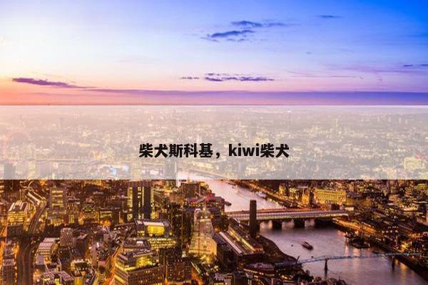 柴犬斯科基，kiwi柴犬