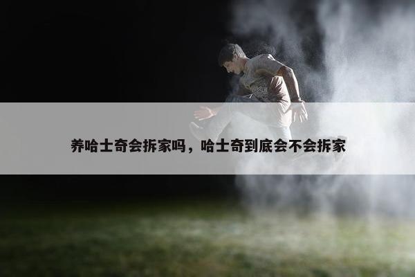养哈士奇会拆家吗，哈士奇到底会不会拆家