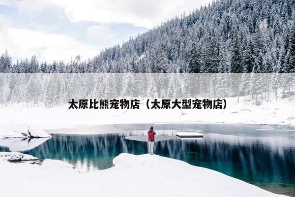 太原比熊宠物店（太原大型宠物店）