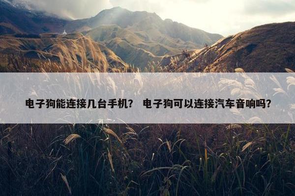 电子狗能连接几台手机？ 电子狗可以连接汽车音响吗？
