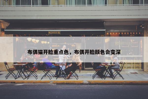 布偶猫开脸重点色，布偶开脸颜色会变深
