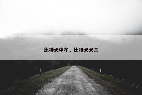 比特犬中牟，比特犬犬舍