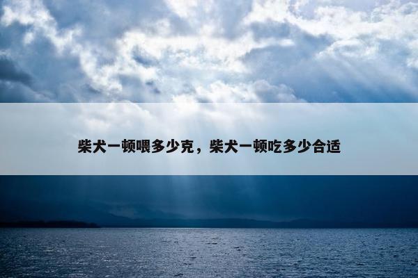 柴犬一顿喂多少克，柴犬一顿吃多少合适