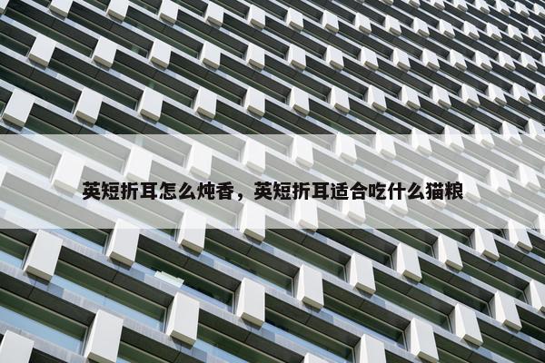 英短折耳怎么炖香，英短折耳适合吃什么猫粮