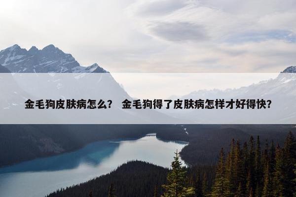 金毛狗皮肤病怎么？ 金毛狗得了皮肤病怎样才好得快？