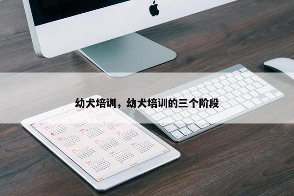 幼犬培训，幼犬培训的三个阶段