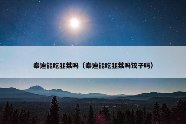 可能 第3页