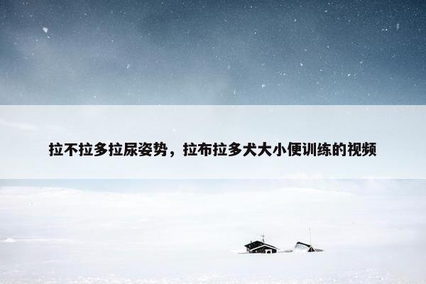 拉不拉多拉尿姿势，拉布拉多犬大小便训练的视频