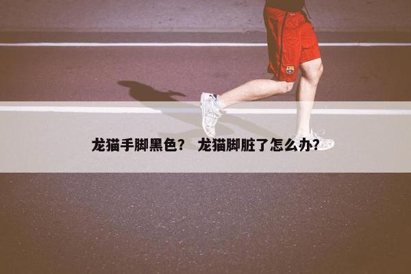 龙猫手脚黑色？ 龙猫脚脏了怎么办？