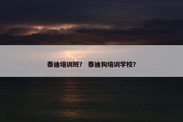 宠物美容