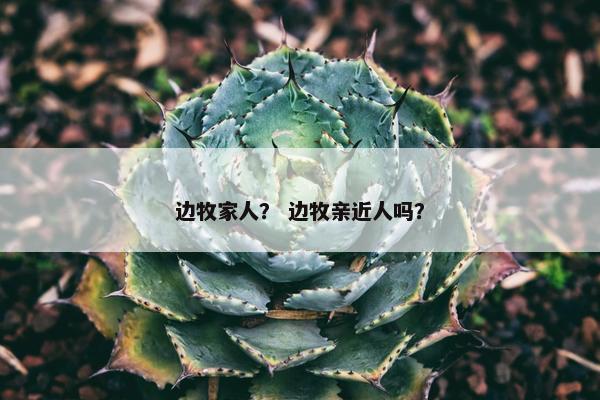 边牧家人？ 边牧亲近人吗？