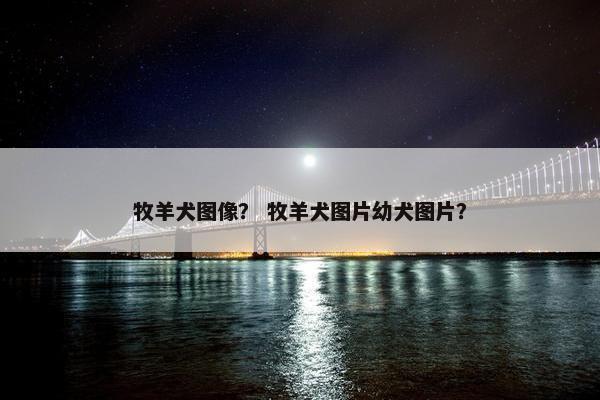 牧羊犬图像？ 牧羊犬图片幼犬图片？