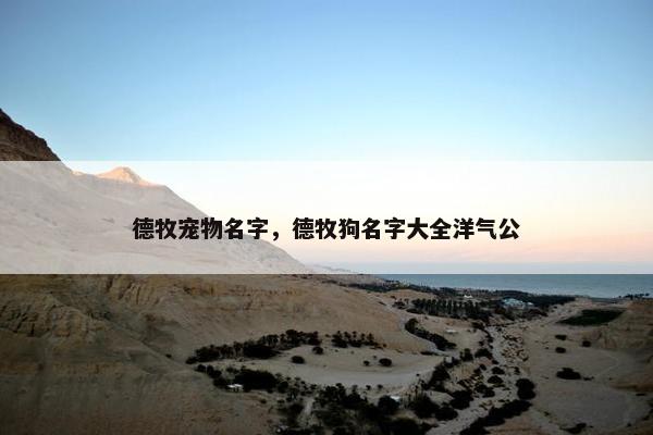 德牧宠物名字，德牧狗名字大全洋气公