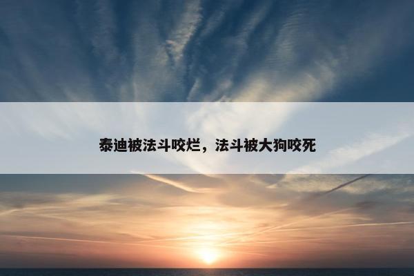 泰迪被法斗咬烂，法斗被大狗咬死
