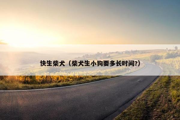 快生柴犬（柴犬生小狗要多长时间?）