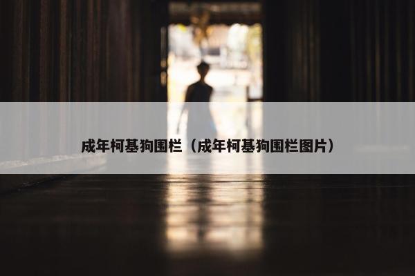 成年柯基狗围栏（成年柯基狗围栏图片）