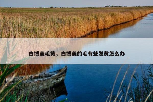 白博美毛黄，白博美的毛有些发黄怎么办