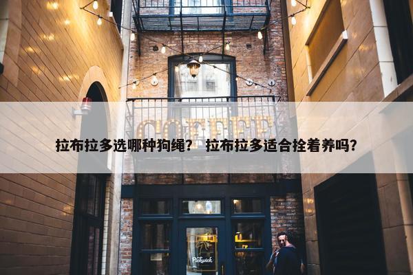拉布拉多选哪种狗绳？ 拉布拉多适合拴着养吗？
