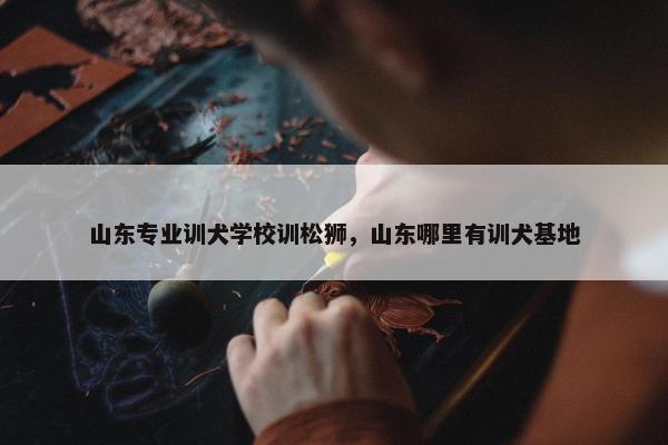 山东专业训犬学校训松狮，山东哪里有训犬基地