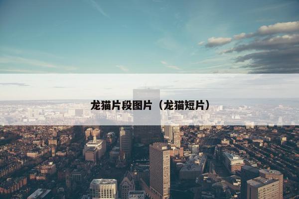 龙猫片段图片（龙猫短片）