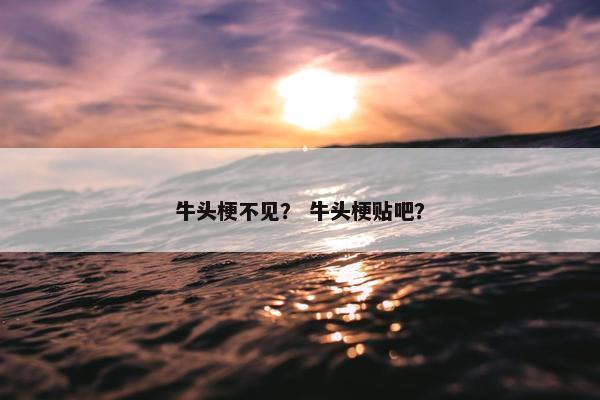 牛头梗不见？ 牛头梗贴吧？