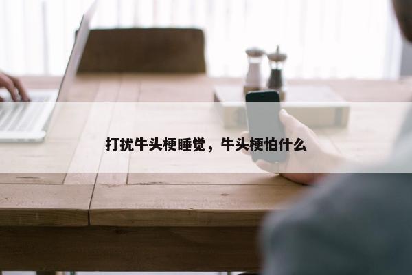打扰牛头梗睡觉，牛头梗怕什么