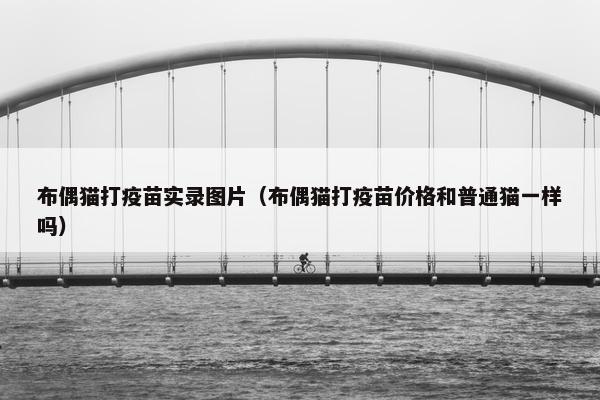 布偶猫打疫苗实录图片（布偶猫打疫苗价格和普通猫一样吗）