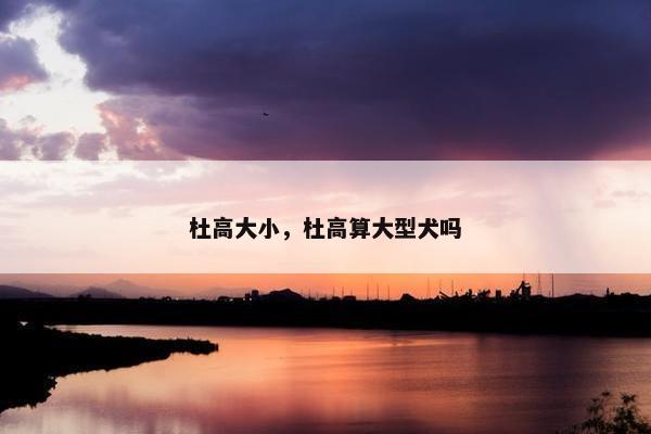 杜高大小，杜高算大型犬吗