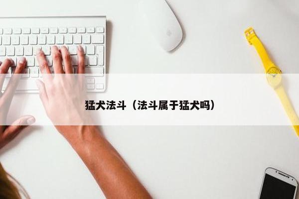 猛犬法斗（法斗属于猛犬吗）