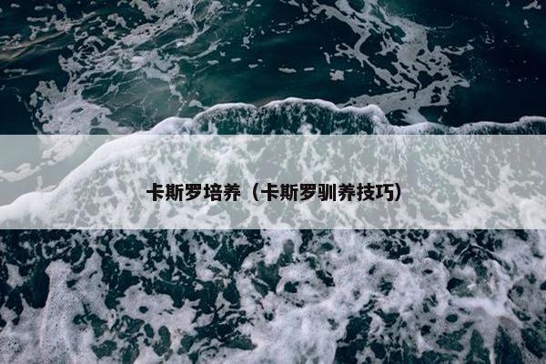卡斯罗培养（卡斯罗驯养技巧）
