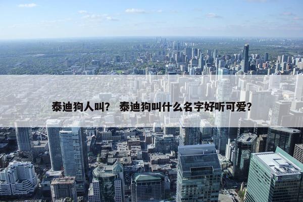 泰迪狗人叫？ 泰迪狗叫什么名字好听可爱？