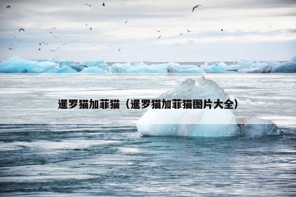 梦想启航 第5页