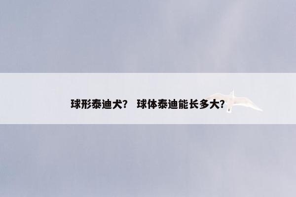 球形泰迪犬？ 球体泰迪能长多大？