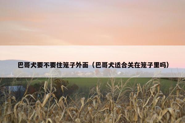 巴哥犬要不要住笼子外面（巴哥犬适合关在笼子里吗）