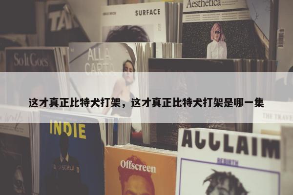 这才真正比特犬打架，这才真正比特犬打架是哪一集
