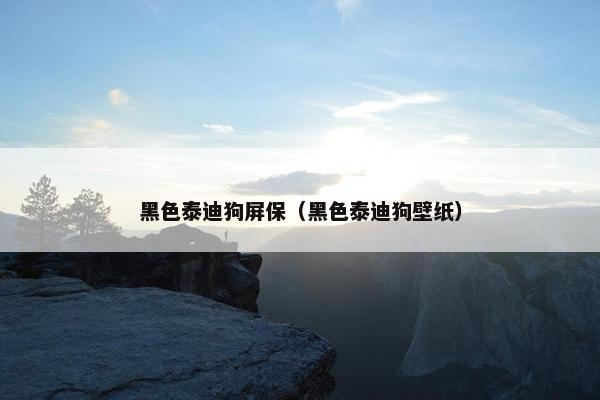 黑色泰迪狗屏保（黑色泰迪狗壁纸）