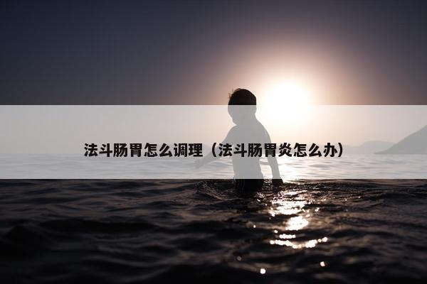 法斗肠胃怎么调理（法斗肠胃炎怎么办）
