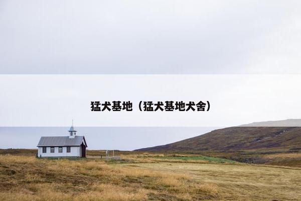 猛犬基地（猛犬基地犬舍）