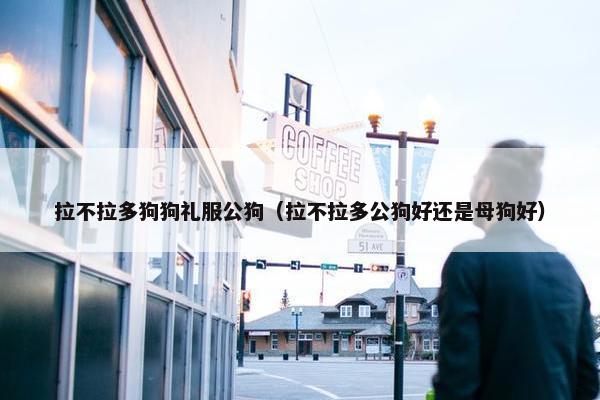 拉不拉多狗狗礼服公狗（拉不拉多公狗好还是母狗好）