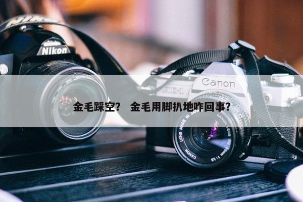 金毛踩空？ 金毛用脚扒地咋回事？