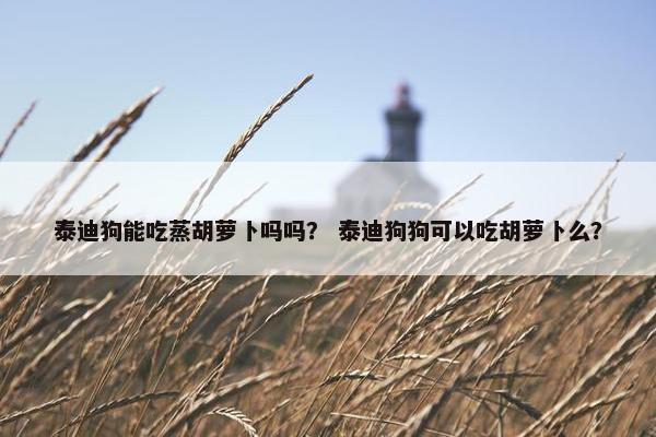 泰迪狗能吃蒸胡萝卜吗吗？ 泰迪狗狗可以吃胡萝卜么？