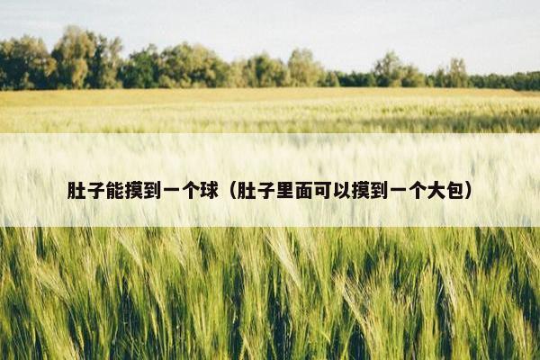 肚子能摸到一个球（肚子里面可以摸到一个大包）