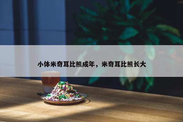 小体米奇耳比熊成年，米奇耳比熊长大