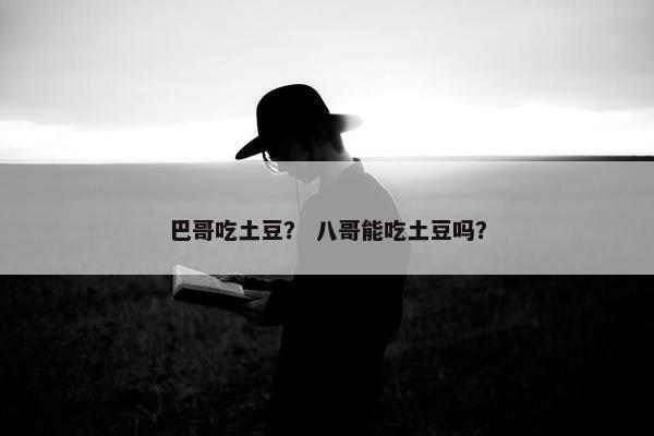 2025年10月23日